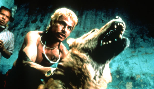 amores perros. México: Amores Perros