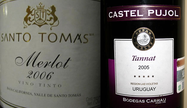 Tannat contra merlot