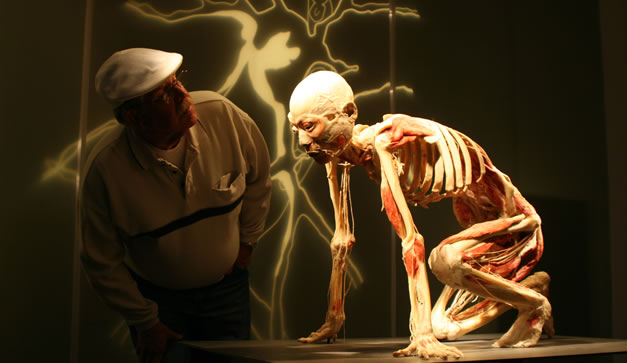 Bodies Revealed del Dr. Roy Glover 