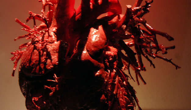 Bodies Revealed del Dr. Roy Glover 