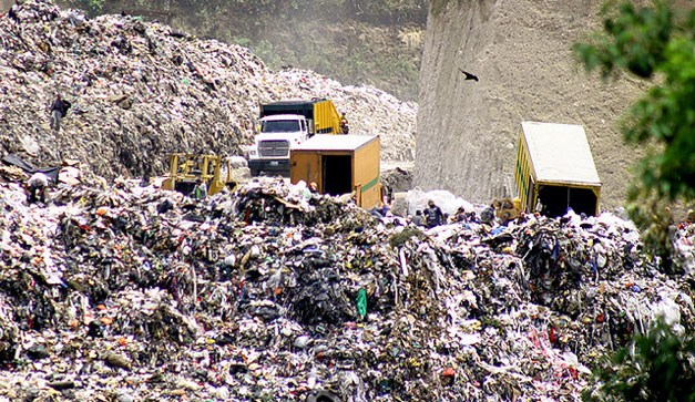 Parecemos ecolocos.