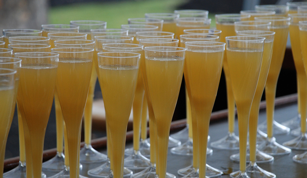 Fila  de mimosas *baba*