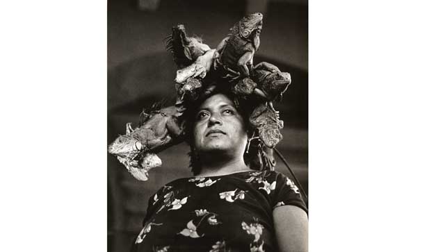 Nuestra se?ora de las iguanas.
