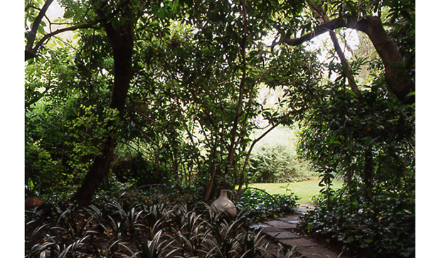 Jardín