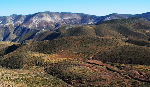 Zona huichola
