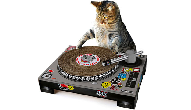 Gato