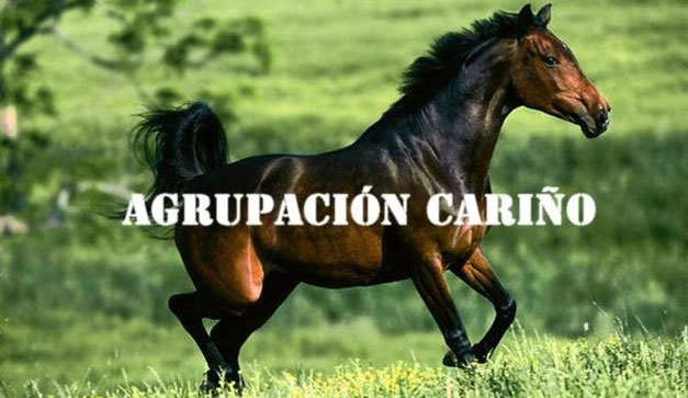 Agrupación Cariño