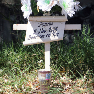 Cenotafios, los otros "panteones" chilangos